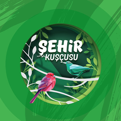 Şehir Kuşçusu