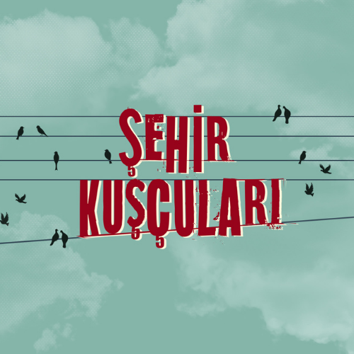 Şehir Kuşçuları
